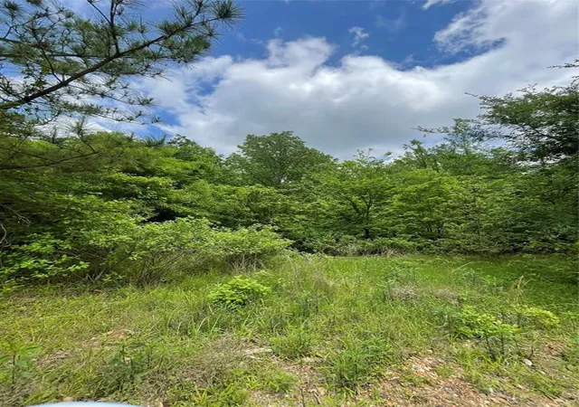 Photo 1 of Land for sale at 695 Timber Creek Trails South Xl, Broken Bow, OK 74728 | MLS# 1096977 | Listing updated on 2026-07-27