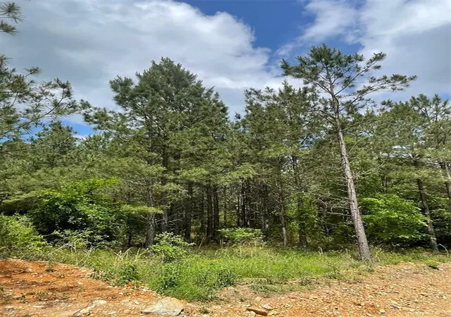 1st image of 697 Timber Creek Trails South Xl, Broken Bow, OK 74728 | MLS# 1096983