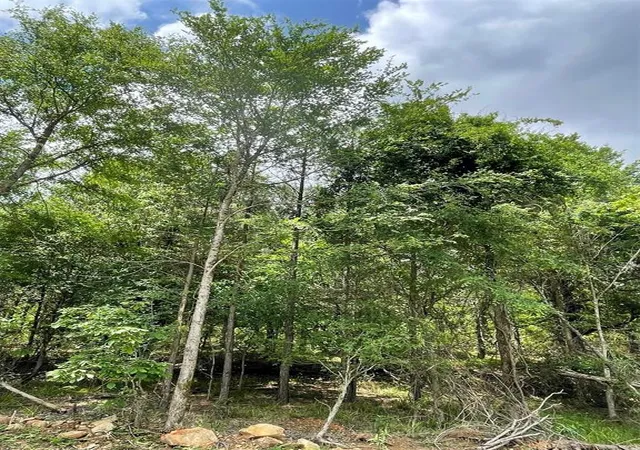 2nd image of 697 Timber Creek Trails South Xl, Broken Bow, OK 74728 | MLS# 1096983