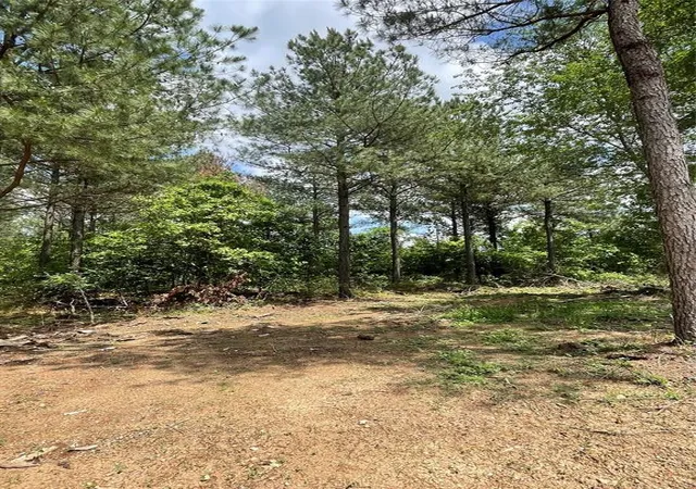 2nd image of 698 Timber Creek Trails South Xl, Broken Bow, OK 74728 | MLS# 1097010