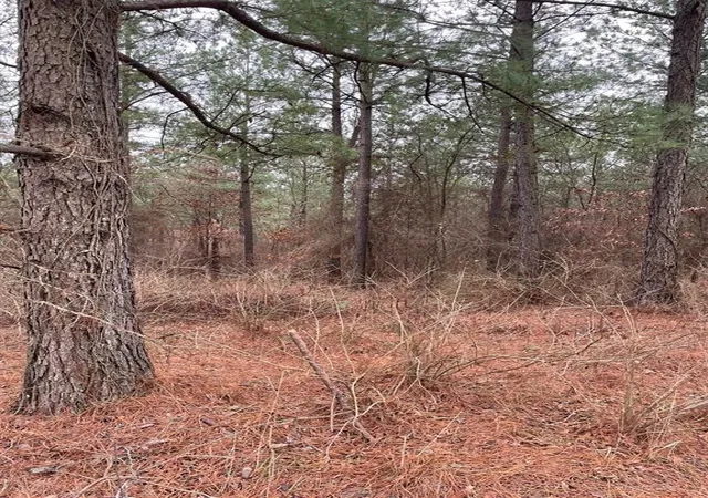 Photo 2 of Land for sale at 700 Timber Creek Trails South Xl, Broken Bow, OK 74728 | MLS# 1097126 | Listing updated on 2026-07-27