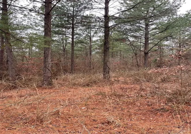 Photo 3 of Land for sale at 700 Timber Creek Trails South Xl, Broken Bow, OK 74728 | MLS# 1097126 | Listing updated on 2026-07-27