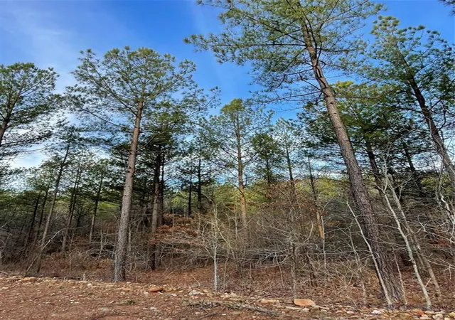 Photo 3 of Land for sale at 703 Timber Creek Trails South Xl, Broken Bow, OK 74728 | MLS# 1097132 | Listing updated on 2026-07-27