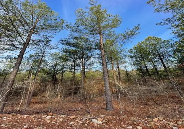 Photo 4 of Land for sale at 703 Timber Creek Trails South Xl, Broken Bow, OK 74728 | MLS# 1097132 | Listing updated on 2026-07-27