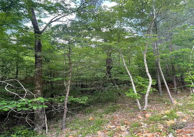 Photo 2 of Land for sale at 704 Timber Creek Trails South Xl, Broken Bow, OK 74728 | MLS# 1097137 | Listing updated on 2026-07-27