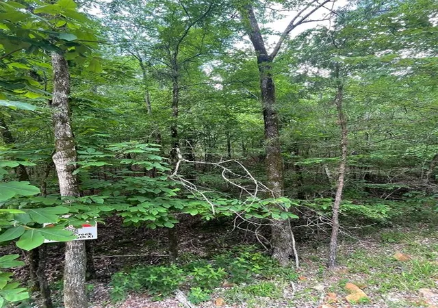 Photo 3 of Land for sale at 704 Timber Creek Trails South Xl, Broken Bow, OK 74728 | MLS# 1097137 | Listing updated on 2026-07-27