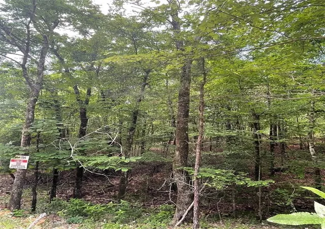 Photo 3 of Land for sale at 704 Timber Creek Trails South Xl, Broken Bow, OK 74728 | MLS# 1097137 | Listing updated on 2026-07-27
