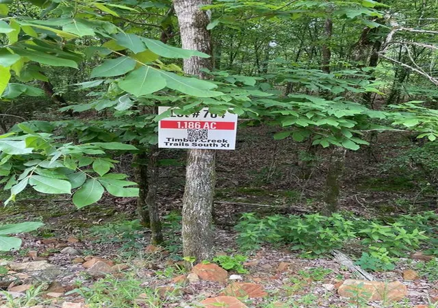 Photo 4 of Land for sale at 704 Timber Creek Trails South Xl, Broken Bow, OK 74728 | MLS# 1097137 | Listing updated on 2026-07-27