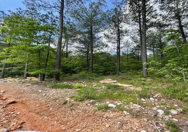 Photo 2 of Land for sale at 705 Timber Creek Trails South Xl, Broken Bow, OK 74728 | MLS# 1097139 | Listing updated on 2026-07-27