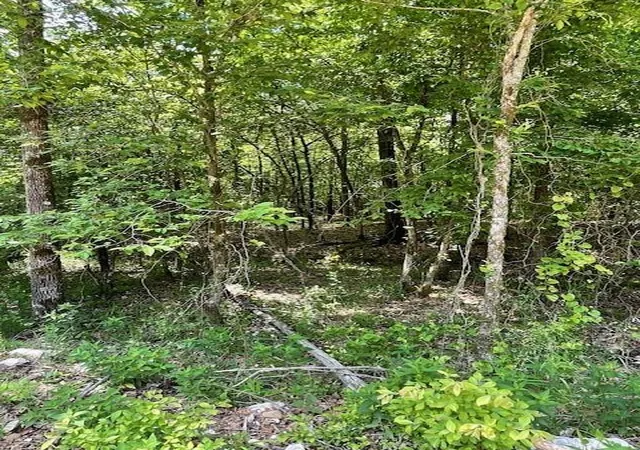 Photo 3 of Land for sale at 706 Timber Creek Trails South Xl, Broken Bow, OK 74728 | MLS# 1097141 | Listing updated on 2026-07-27