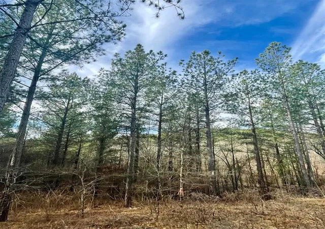 Photo 1 of Land for sale at 707 Timber Creek Trails South Xl, Broken Bow, OK 74728 | MLS# 1097144 | Listing updated on 2026-07-27