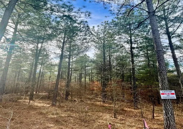 Photo 2 of Land for sale at 707 Timber Creek Trails South Xl, Broken Bow, OK 74728 | MLS# 1097144 | Listing updated on 2026-07-27