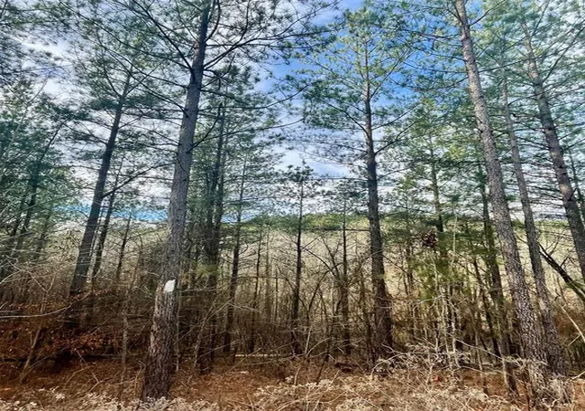 Photo 3 of Land for sale at 707 Timber Creek Trails South Xl, Broken Bow, OK 74728 | MLS# 1097144 | Listing updated on 2026-07-27