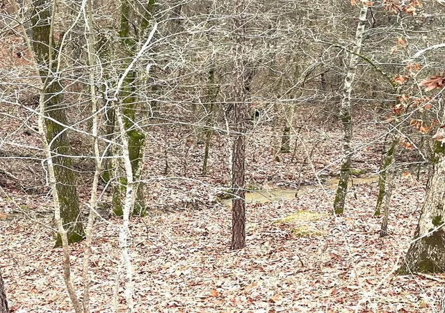 Photo 1 of Land for sale at 708 Timber Creek Trails South Xl, Broken Bow, OK 74728 | MLS# 1097146 | Listing updated on 2026-07-27