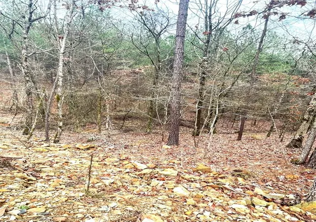 Photo 2 of Land for sale at 708 Timber Creek Trails South Xl, Broken Bow, OK 74728 | MLS# 1097146 | Listing updated on 2026-07-27