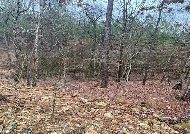 Photo 3 of Land for sale at 708 Timber Creek Trails South Xl, Broken Bow, OK 74728 | MLS# 1097146 | Listing updated on 2026-07-27