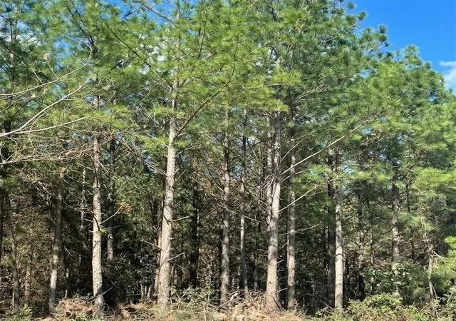 Photo 1 of Land for sale at 709 Timber Creek Trails South Xl, Broken Bow, OK 74728 | MLS# 1097147 | Listing updated on 2026-07-27