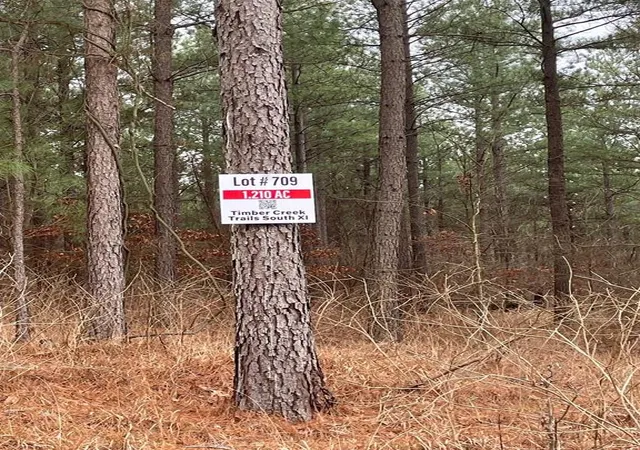 Photo 2 of Land for sale at 709 Timber Creek Trails South Xl, Broken Bow, OK 74728 | MLS# 1097147 | Listing updated on 2026-07-27