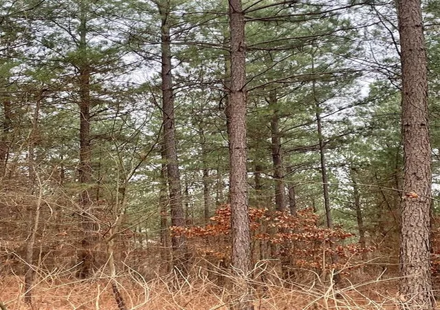 Photo 3 of Land for sale at 709 Timber Creek Trails South Xl, Broken Bow, OK 74728 | MLS# 1097147 | Listing updated on 2026-07-27