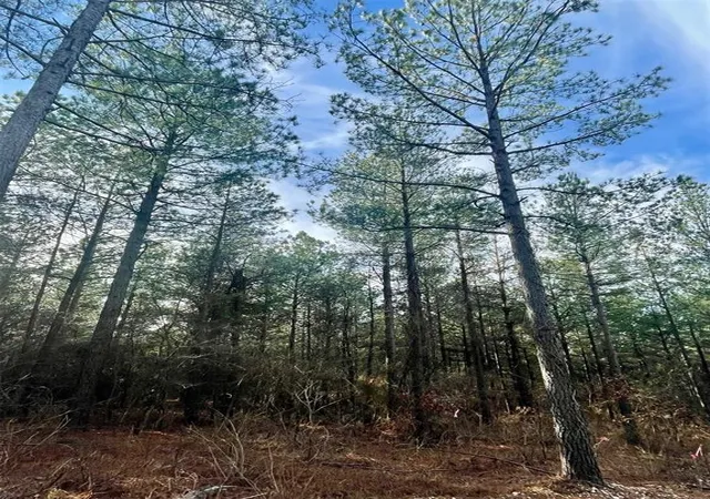 Photo 2 of Land for sale at 710 Timber Creek Trails South Xl, Broken Bow, OK 74728 | MLS# 1097149 | Listing updated on 2026-07-27