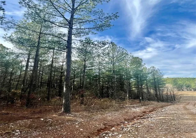 Photo 3 of Land for sale at 710 Timber Creek Trails South Xl, Broken Bow, OK 74728 | MLS# 1097149 | Listing updated on 2026-07-27