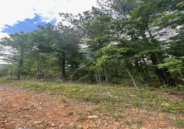 1st image of 711 Timber Creek Trails South Xl, Broken Bow, OK 74728 | MLS# 1097150