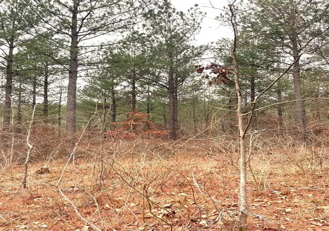 Photo 1 of Land for sale at 713 Timber Creek Trails South Xl, Broken Bow, OK 74728 | MLS# 1097153 | Listing updated on 2026-07-27