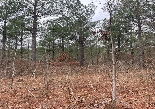 Photo 2 of Land for sale at 713 Timber Creek Trails South Xl, Broken Bow, OK 74728 | MLS# 1097153 | Listing updated on 2026-07-27