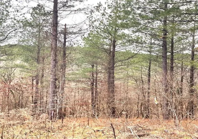 1st image of 715 Timber Creek Trails South Xl, Broken Bow, OK 74728 | MLS# 1097156