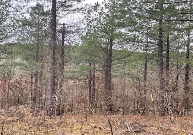 2nd image of 715 Timber Creek Trails South Xl, Broken Bow, OK 74728 | MLS# 1097156