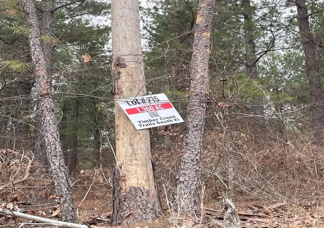 Photo 3 of Land for sale at 715 Timber Creek Trails South Xl, Broken Bow, OK 74728 | MLS# 1097156 | Listing updated on 2026-07-27