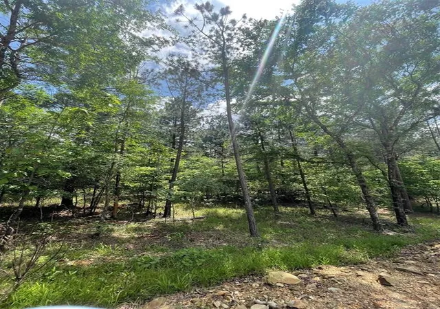 Photo 3 of Land for sale at 716 Timber Creek Trails South Xl, Broken Bow, OK 74728 | MLS# 1097157 | Listing updated on 2026-07-27