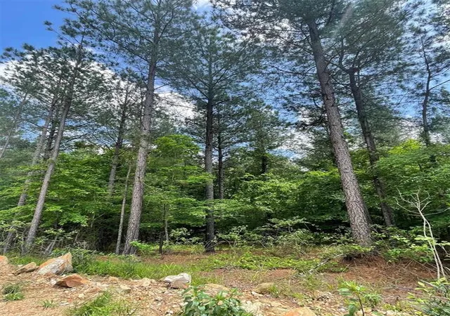 Photo 3 of Land for sale at 716 Timber Creek Trails South Xl, Broken Bow, OK 74728 | MLS# 1097157 | Listing updated on 2026-07-27