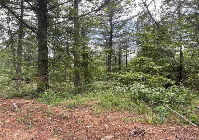 Photo 3 of Land for sale at 717 Timber Creek Trails South Xl, Broken Bow, OK 74728 | MLS# 1097158 | Listing updated on 2026-07-27