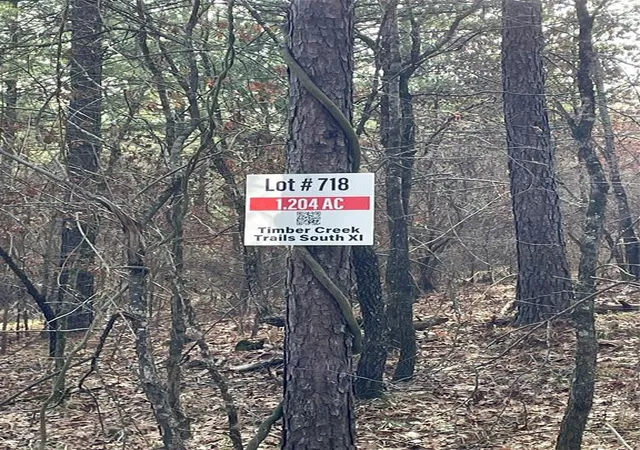Photo 2 of Land for sale at 718 Timber Creek Trails South Xl, Broken Bow, OK 74728 | MLS# 1097159 | Listing updated on 2026-07-27