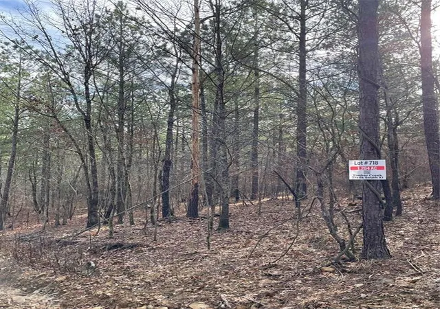 Photo 3 of Land for sale at 718 Timber Creek Trails South Xl, Broken Bow, OK 74728 | MLS# 1097159 | Listing updated on 2026-07-27