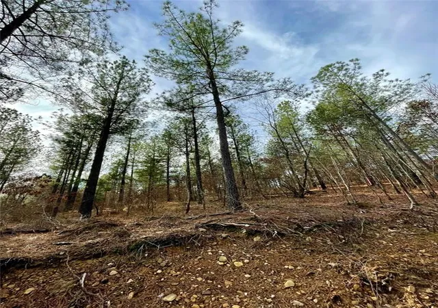 Photo 1 of Land for sale at 719 Timber Creek Trails South Xl, Broken Bow, OK 74728 | MLS# 1097166 | Listing updated on 2026-07-27