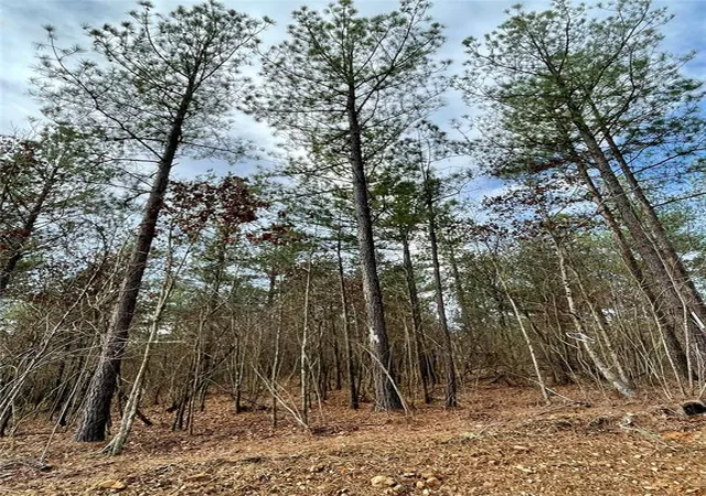 Photo 1 of Land for sale at 720 Timber Creek Trails South Xl, Broken Bow, OK 74728 | MLS# 1097167 | Listing updated on 2026-07-27