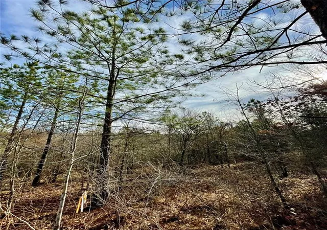 Photo 2 of Land for sale at 723 Timber Creek Trails South Xl, Broken Bow, OK 74728 | MLS# 1097172 | Listing updated on 2026-07-27
