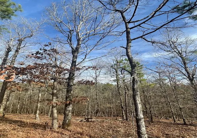Photo 2 of Land for sale at 725 Timber Creek Trails South Xl, Broken Bow, OK 74728 | MLS# 1097174 | Listing updated on 2026-07-27