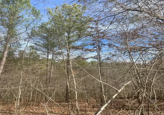 Photo 2 of Land for sale at 726 Timber Creek Trails South Xl, Broken Bow, OK 74728 | MLS# 1097175 | Listing updated on 2026-07-27