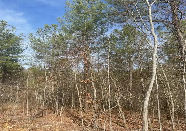 Photo 3 of Land for sale at 726 Timber Creek Trails South Xl, Broken Bow, OK 74728 | MLS# 1097175 | Listing updated on 2026-07-27