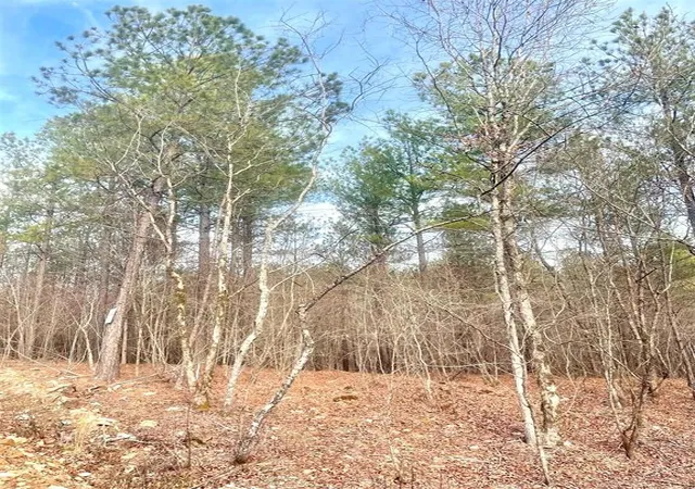 Photo 1 of Land for sale at 727 Timber Creek Trails South Xl, Broken Bow, OK 74728 | MLS# 1097177 | Listing updated on 2026-07-27