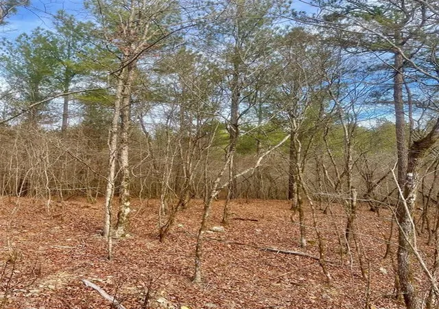 Photo 3 of Land for sale at 727 Timber Creek Trails South Xl, Broken Bow, OK 74728 | MLS# 1097177 | Listing updated on 2026-07-27