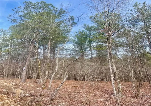Photo 3 of Land for sale at 727 Timber Creek Trails South Xl, Broken Bow, OK 74728 | MLS# 1097177 | Listing updated on 2026-07-27
