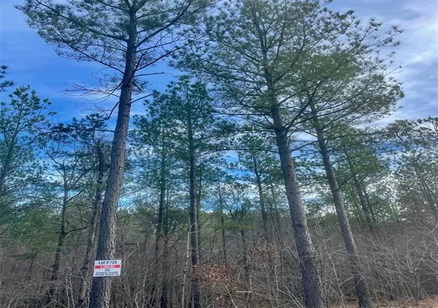 Photo 3 of Land for sale at 728 Timber Creek Trails South Xl, Broken Bow, OK 74728 | MLS# 1097179 | Listing updated on 2026-07-27
