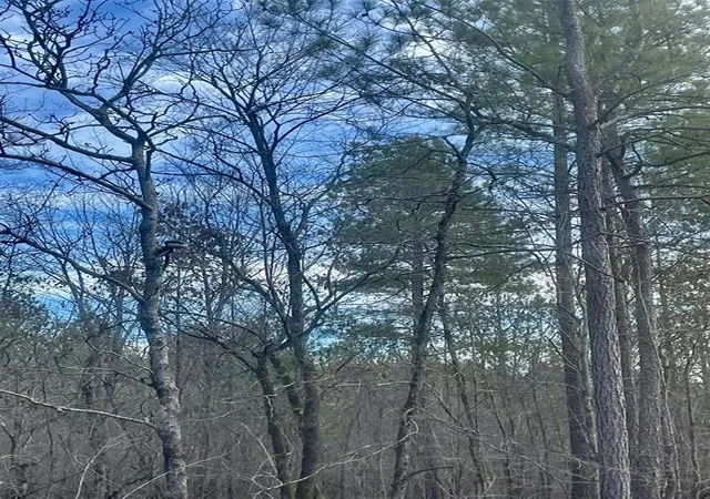 Photo 3 of Land for sale at 728 Timber Creek Trails South Xl, Broken Bow, OK 74728 | MLS# 1097179 | Listing updated on 2026-07-27