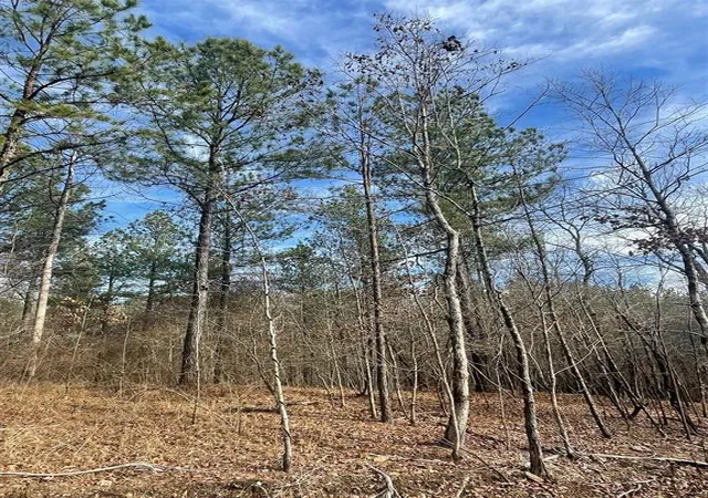 Photo 2 of Land for sale at 729 Timber Creek Trails South Xl, Broken Bow, OK 74728 | MLS# 1097734 | Listing updated on 2026-07-27