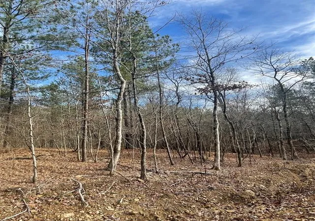 Photo 3 of Land for sale at 729 Timber Creek Trails South Xl, Broken Bow, OK 74728 | MLS# 1097734 | Listing updated on 2026-07-27