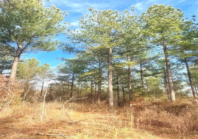 Photo 1 of Land for sale at 730 Timber Creek Trails South Xl, Broken Bow, OK 74728 | MLS# 1097736 | Listing updated on 2026-07-27
